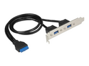 Delock Slot bracket - USB-panel