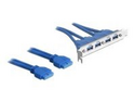 Delock Slot bracket - USB-panel