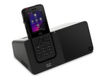 Wireless IP Phone 9821